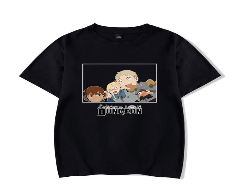Exploring the Best Delicious In Dungeon Merch: A Fan's Guide