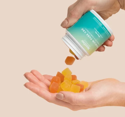 Updated Review of Mushroom Gummies Legality and State Regulations